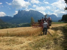 Filmaufnahme bei der Getreideernte für die RAI, 2013